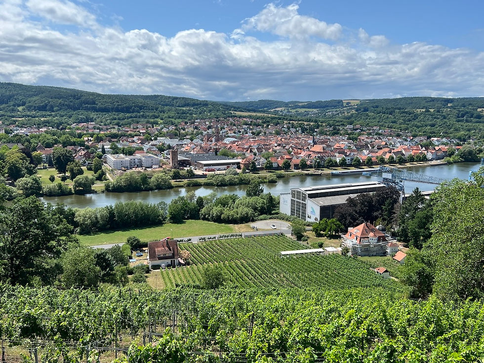 Blick auf Erlenbach am Main