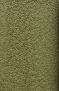 LINEA-065-Green_631
