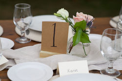 Intimate Backyard Wedding