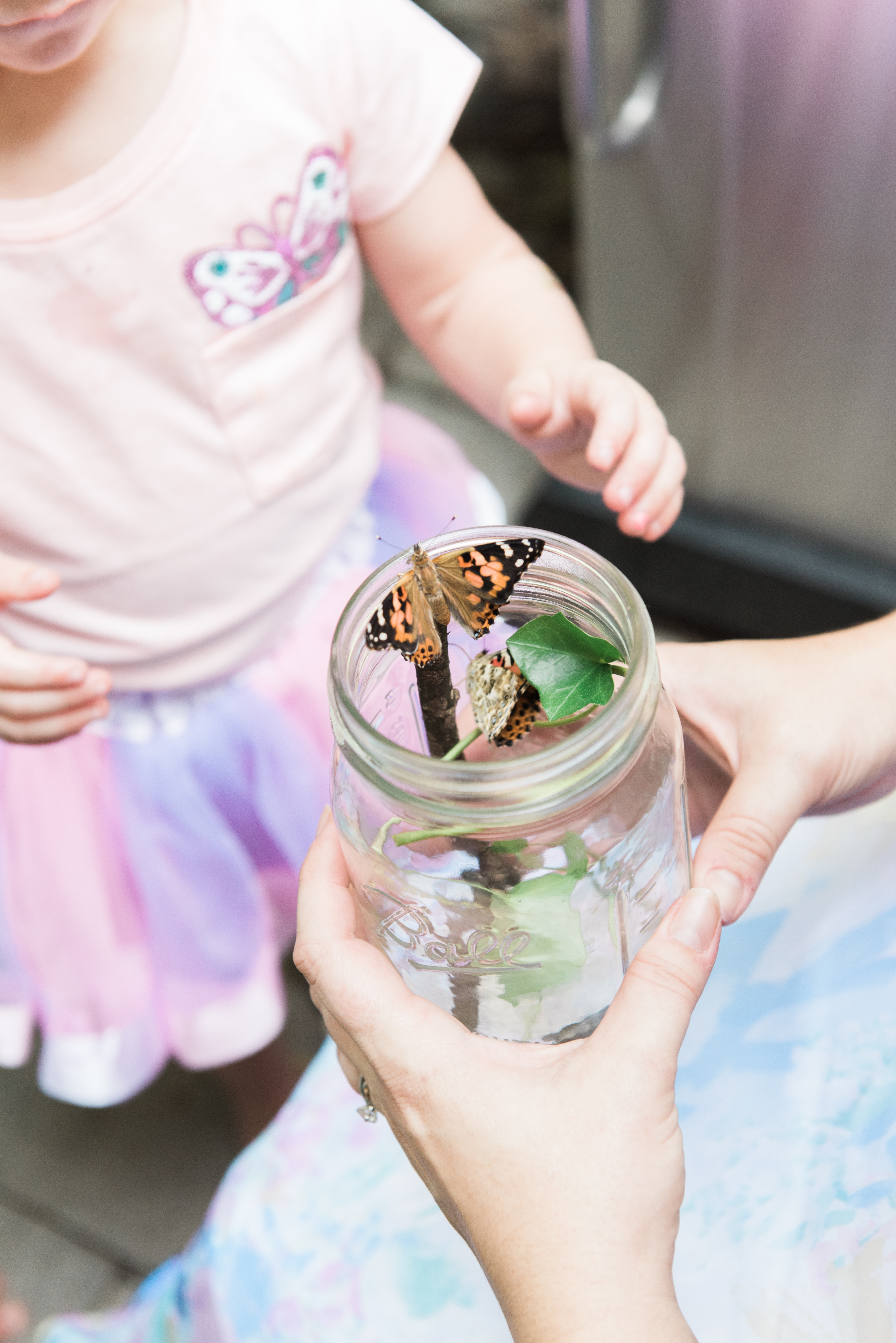 Butterfly Garden Party