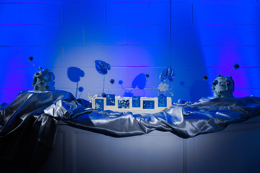 Cyanotype-Venues-at-the-Factory-00528.jpg