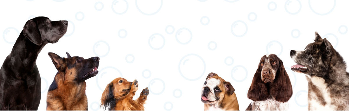Zen Dog Grooming