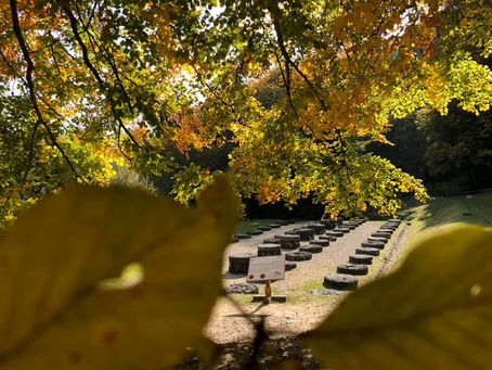 „Capitala Daciei - muzeu viu al patrimoniului cultural european”