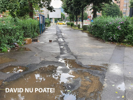 DAVID n-a putut. Și ne-a convins de asta!