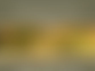 Capitala Daciei – muzeu viu al patrimoniului cultural european