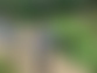 Ovidiu Vlad și porția de gogoși... umflate