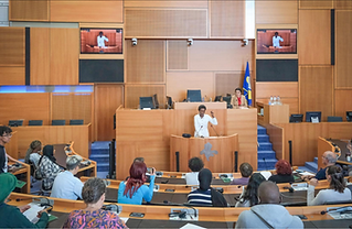 Performing the Public Body.png