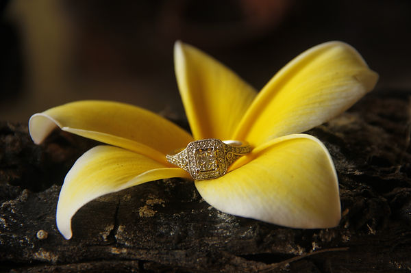 Key West Wedding Photographer