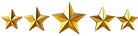 5 gold stars in one line.png