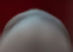Body part corona