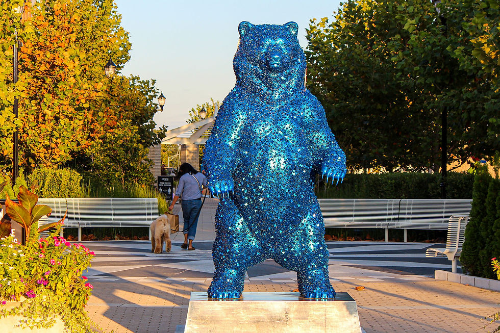 Yasmin - The Station at Riverdale Park