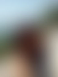 ¡QUÉ VIVA EL NORTE SEÑORES!