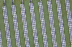 Solar Panel Closeup.JPG