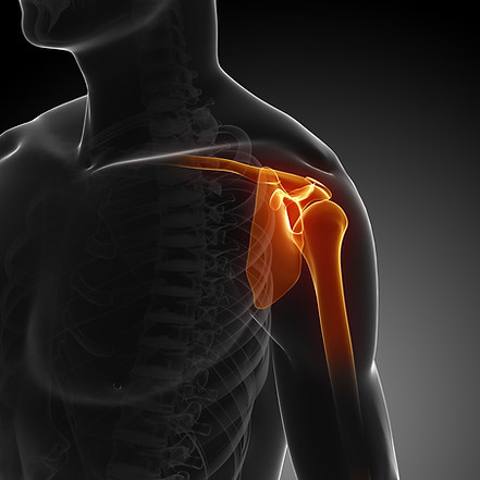 PRP Shoulder Image.jpg