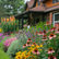 Creating a Beautiful and Low-Maintenance Perennial Garden