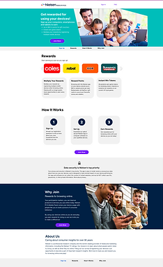 Screenshot of website created for Nielsen