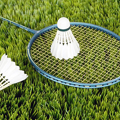 Badminton Equipment