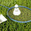 Thumbnail: American Grass