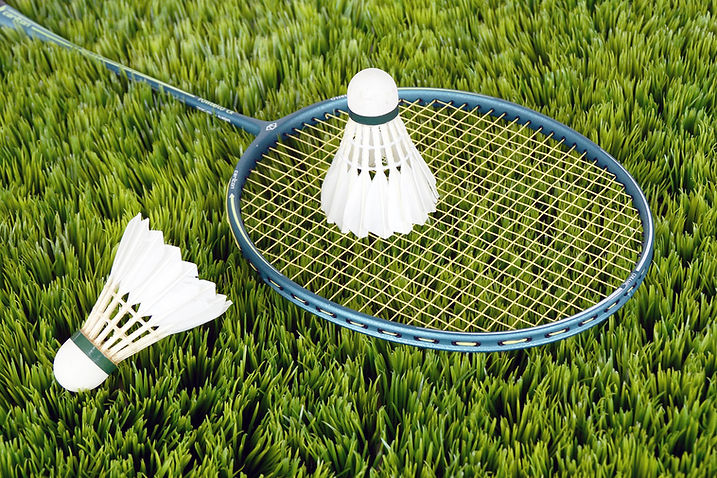 Badminton Equipment