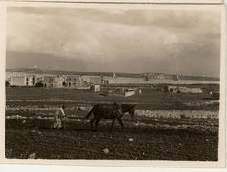 FRASER_FarmerTillsFields_Mxlokk_Food