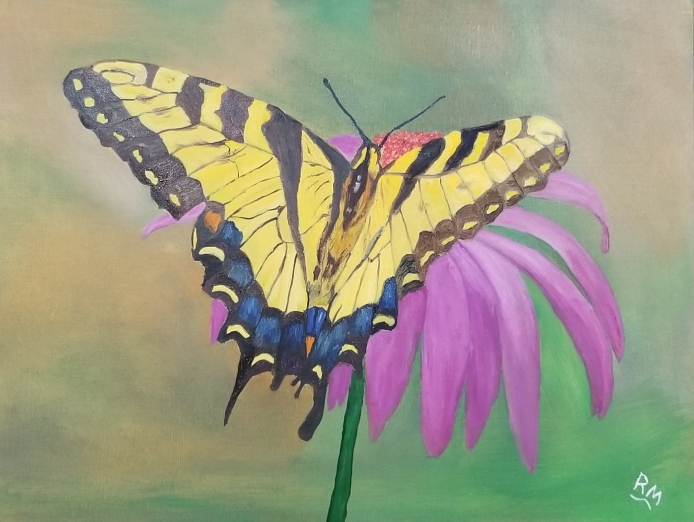 Swallowtail 3