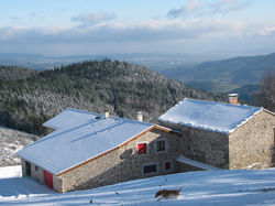 L'hiver