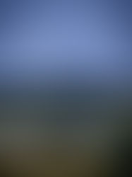 Le Soissonnais, un territoire en lutte contre les éoliennes. (Le Point)