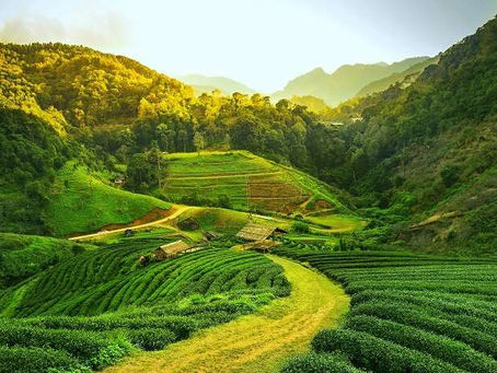 How many hill stations are there in Assam?