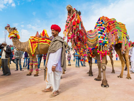 What is the Pushkar Camel Fair