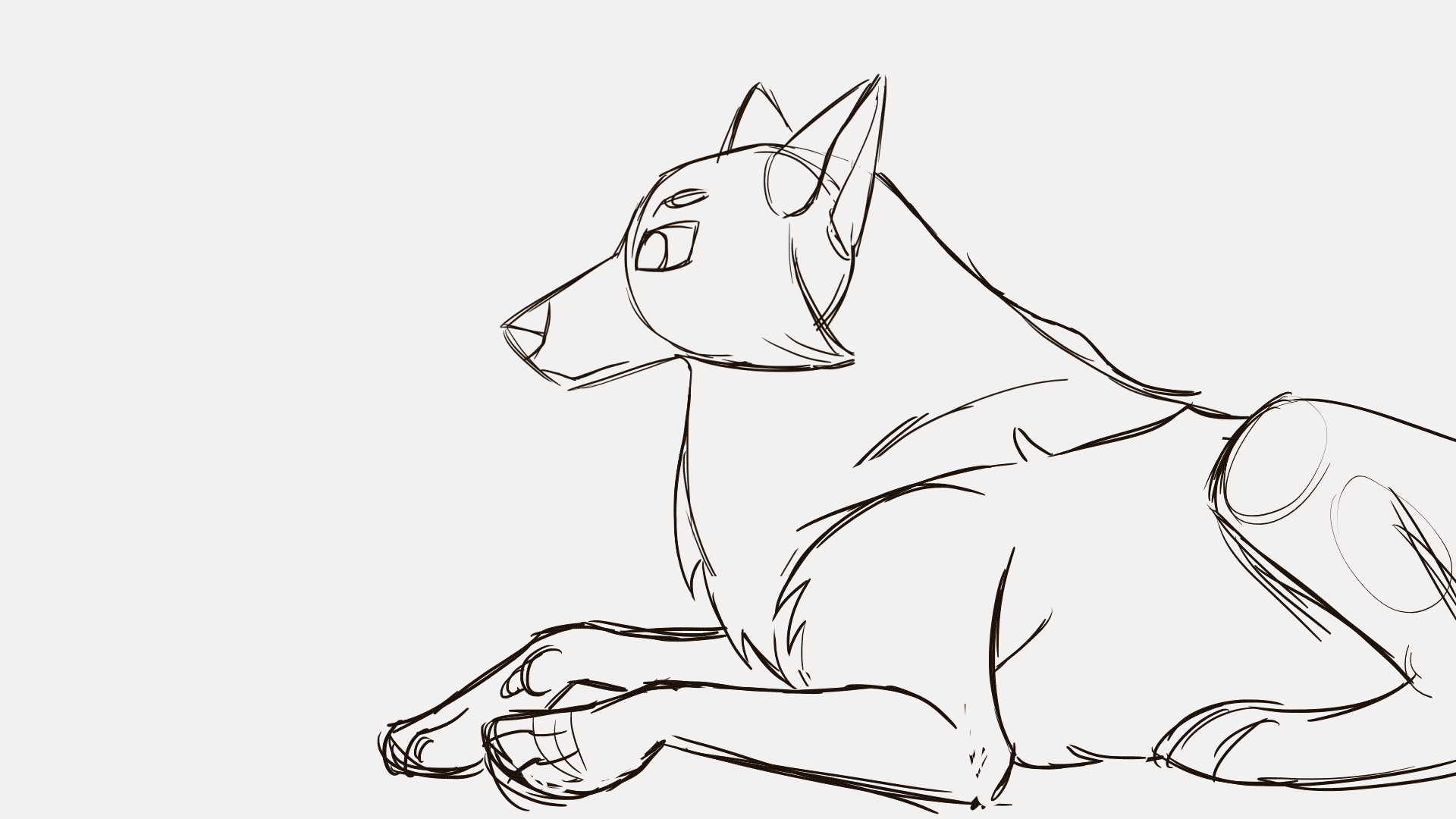 wolf_headturn.gif