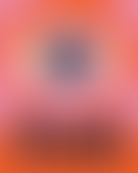 convocatoria vecine festival cine