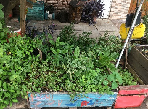 HUERTAS QUE CULTIVAN COMUNIDADES