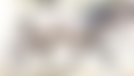 LES RECOMPENSES DE CORTESANO DE FUENTES