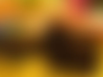 סדנאות שוקולד