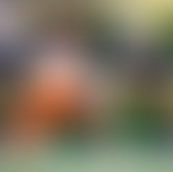 Notre Dame Must Win in the Trenches in 2026!