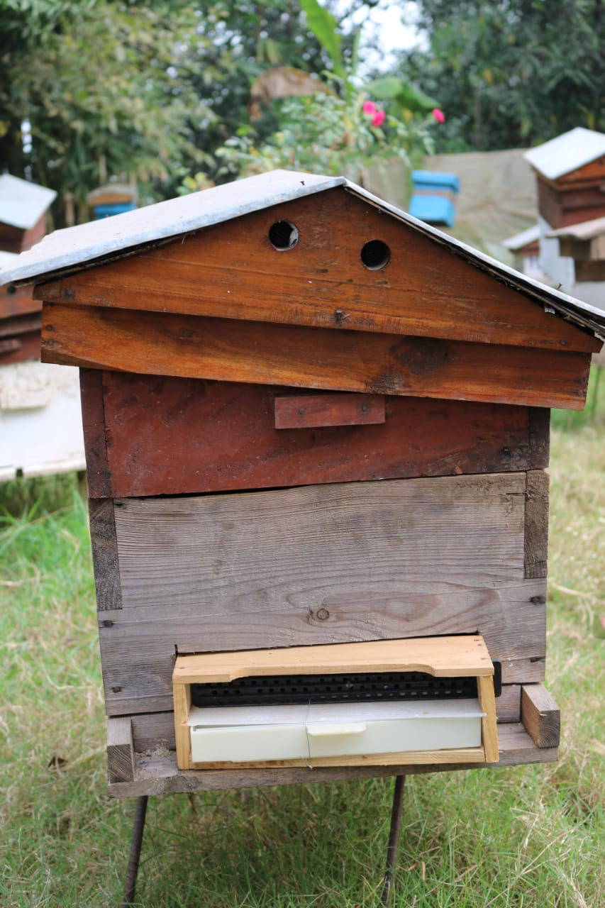 bee house