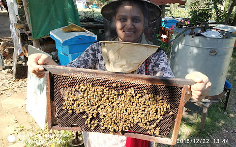 IMG_20181222_134411 (2).jpg