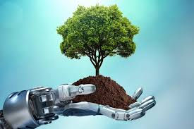 The Untold Harm: The Environmental Impact of AI