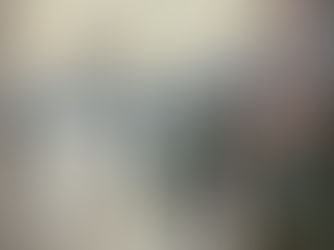 Flâneur, Aimless Walking of the French