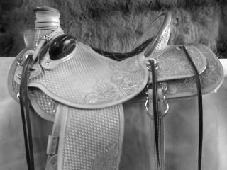 Blessen erstellen daruma fields saddlery company Blessen erstellen daruma fields saddlery company