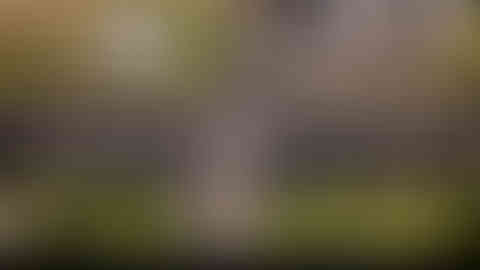 3D Rendering of the proposed 6-Lane Underpass at Ognaj Junction, on SP Ring Road, Ahmedabad, Gujarat, India.