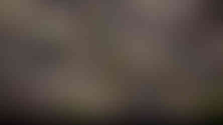 3D visualization for the proposed 6-lane Over-Bridges on the SP Ring Road at Shilaj and Sindhubhavan Junctions in Ahmedabad, 