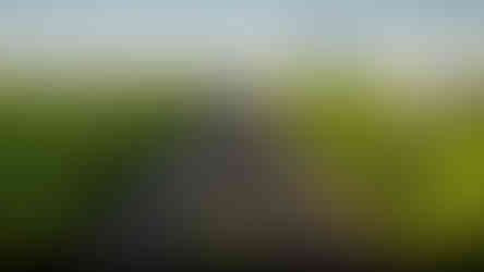 3D visualization for the proposed 6-lane Over-Bridges on the SP Ring Road at Shilaj and Sindhubhavan Junctions in Ahmedabad, 