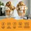 Thumbnail: Sugar Free Pumpkin Spice Sauce