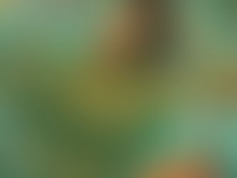 Review: The Life of a Showgirl by Taylor Swift