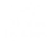 Logo (White on White).png