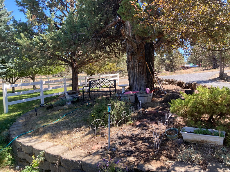 photo jul 23 2022, 2 34 15 pm.jpg