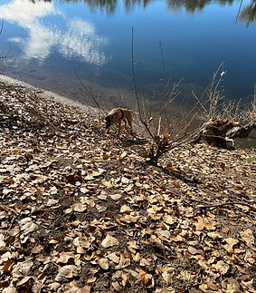 AB 121123 Area 115.JPEG