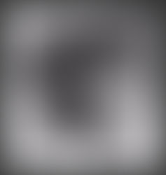 Música do começo ao fim