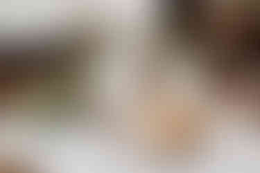 March wedding in New England guestbook decor